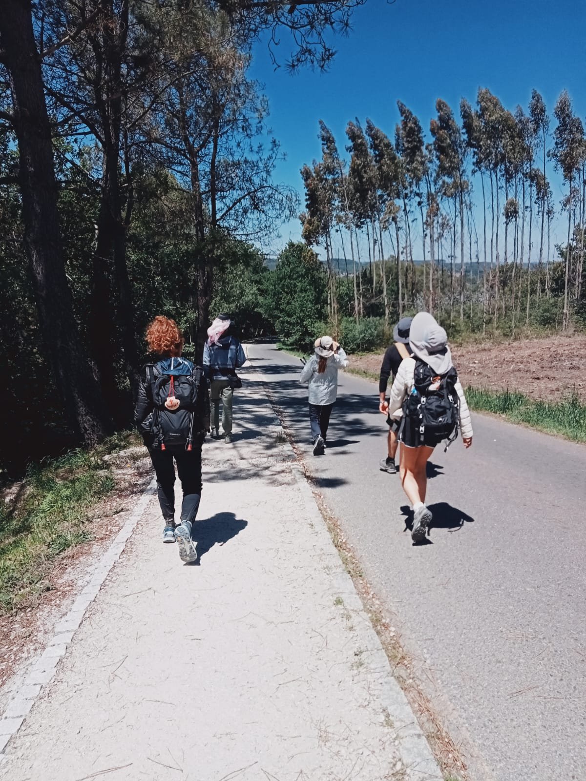 Walking through Navarra